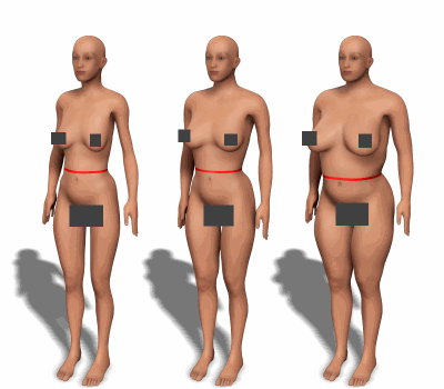 Waist circumference for women with different body types