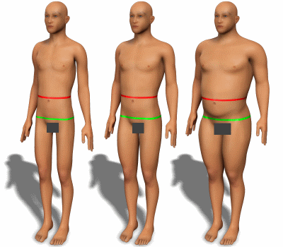 Waist and hips for men with various body types.