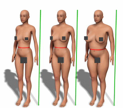 Waist to height ratio for women with various body types
