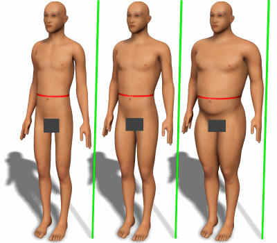 Waist circumference compared to height for men