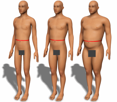 waist circumference for men